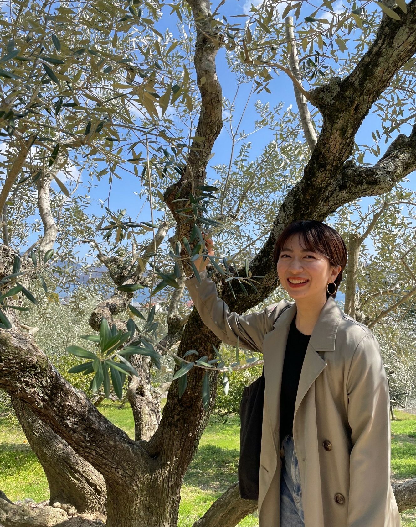 今村さくら